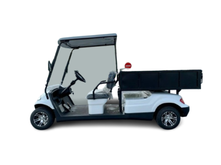 Xe 2 chỗ + thùng lửng (Hoán cải từ xe LT-A617.4)